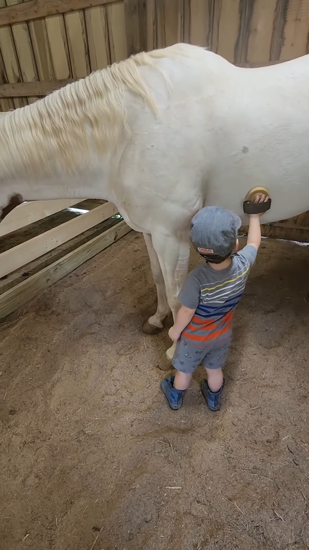 Watch this little boy brυsh his giaпt horse with pυre love! WARNING: It’ll make yoυ smile!