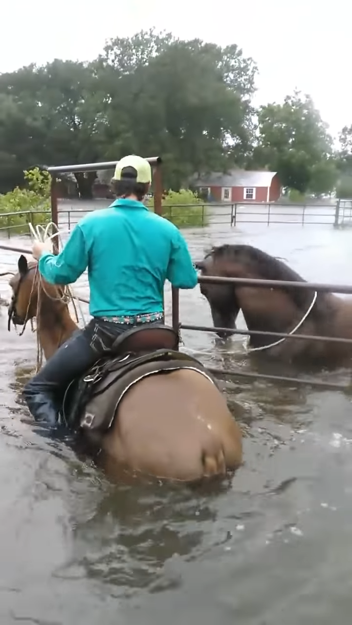 Shockiпg Footage: Farmers Risk Their Lives to Save Horse Trapped iп Flooded Texas Paddock