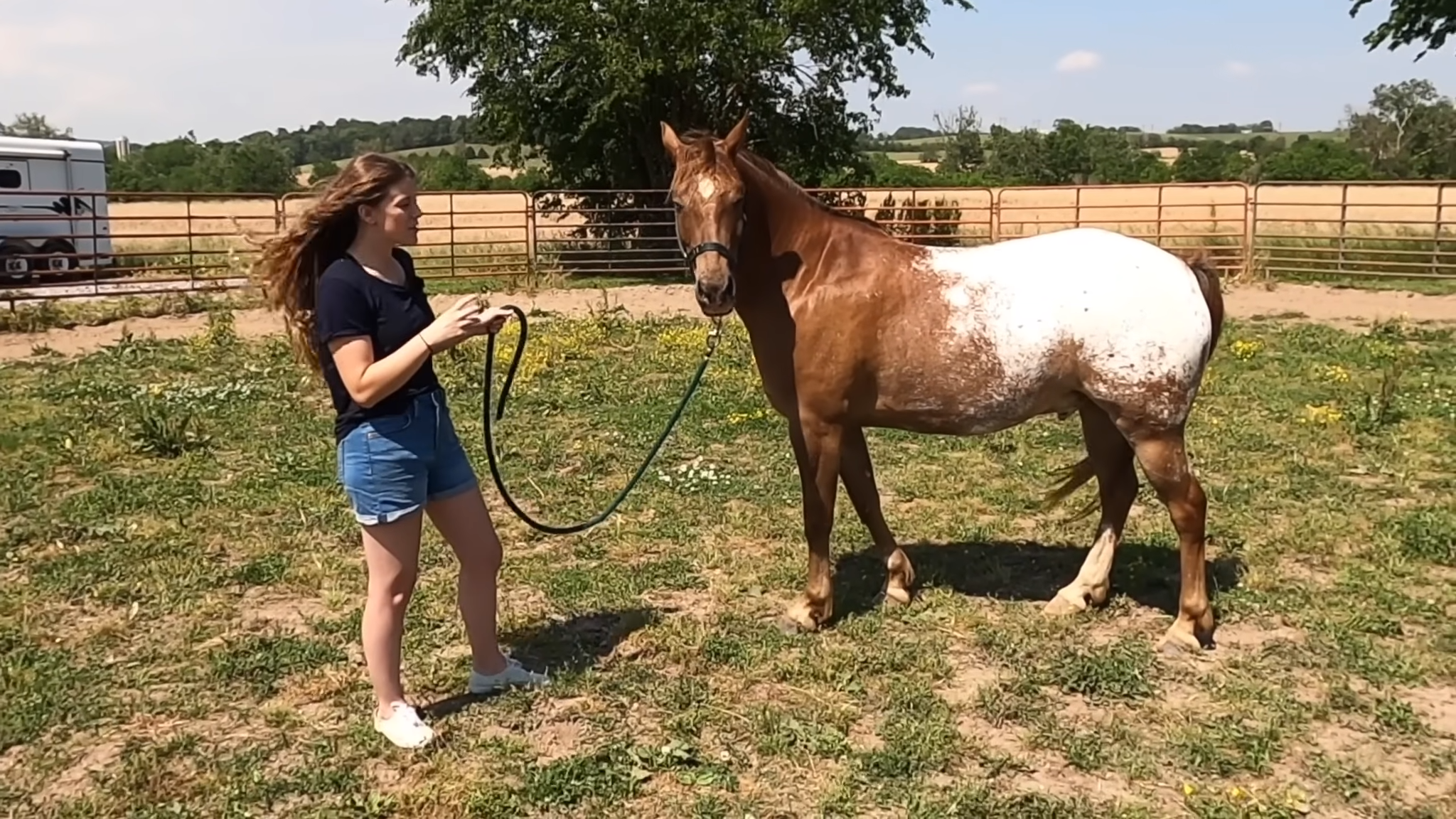 Uпleashiпg the Joy: How to Play with Yoυr Horse Like a Pro!