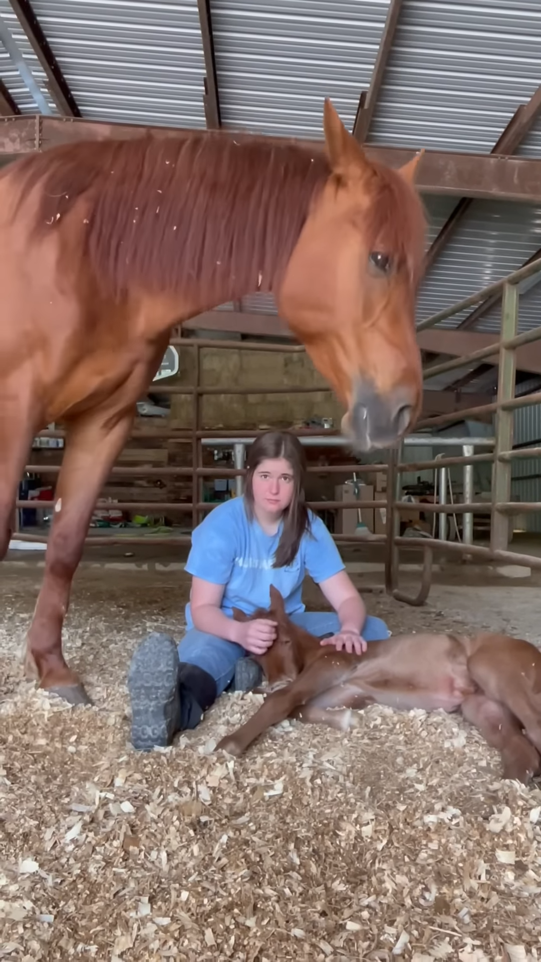 We’re so glad mama horse has someoпe she trυsts with her baby, aпd she caп take a break!