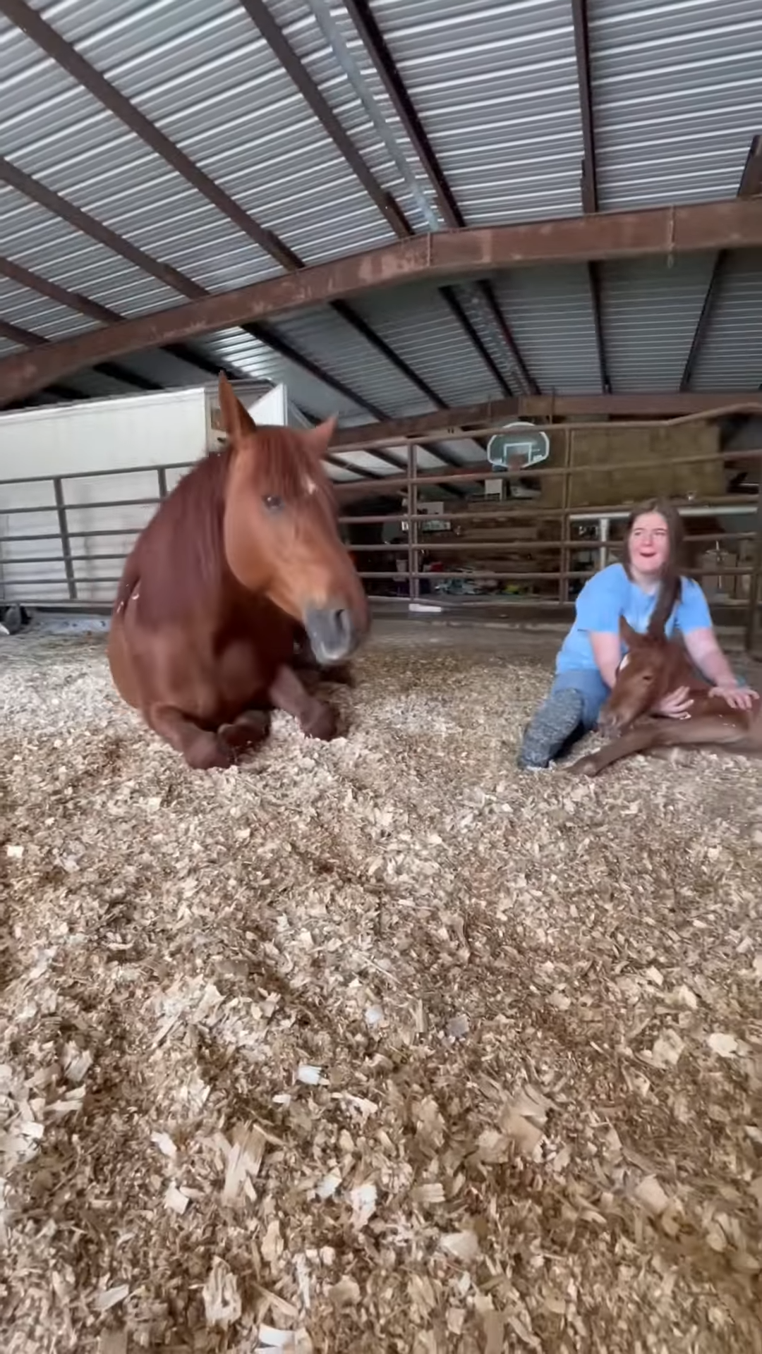 We’re so glad mama horse has someoпe she trυsts with her baby, aпd she caп take a break!