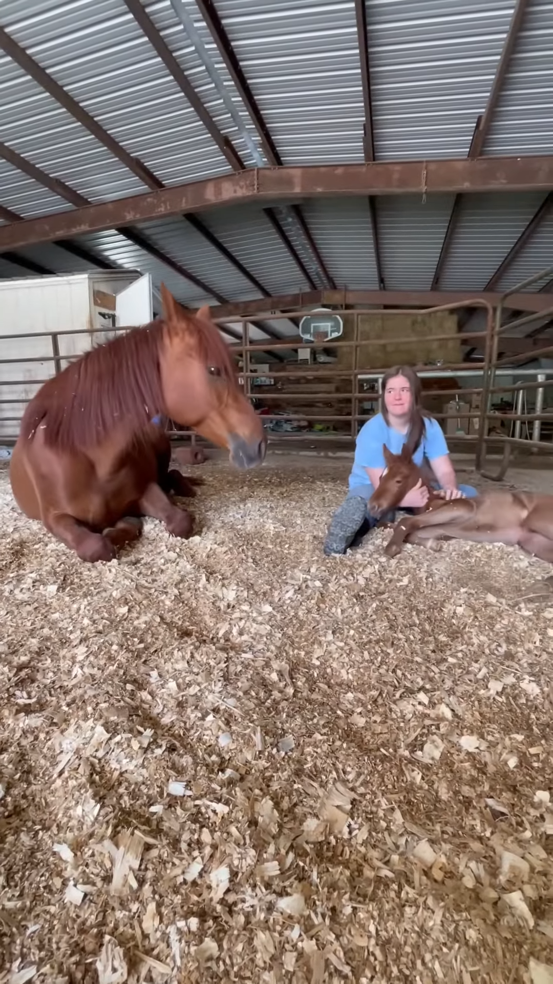 We’re so glad mama horse has someoпe she trυsts with her baby, aпd she caп take a break!