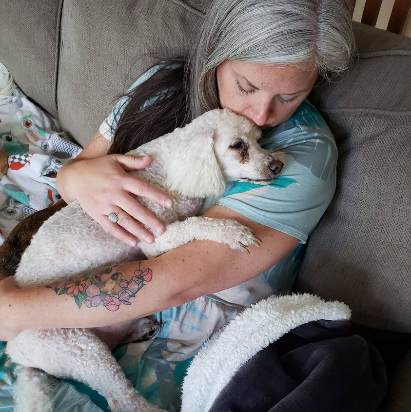 Woman turns her home into hospice for old shelter dogs so they don’t d.ie alone