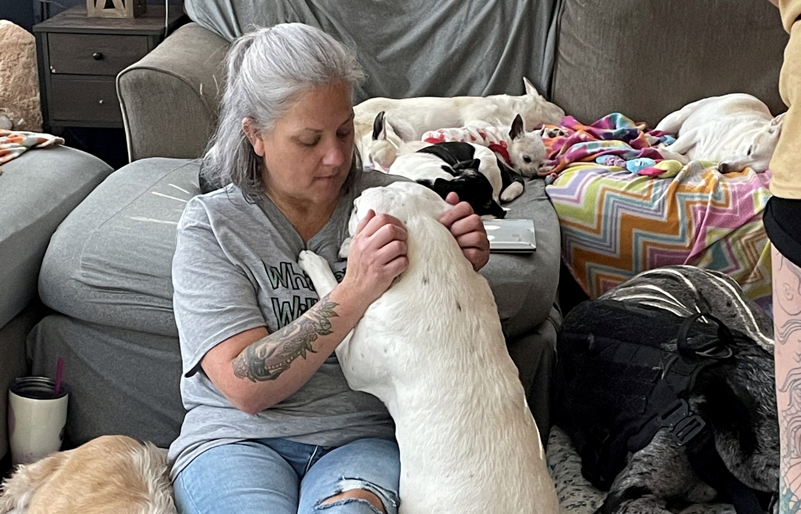 Woman turns her home into hospice for old shelter dogs so they don’t d.ie alone