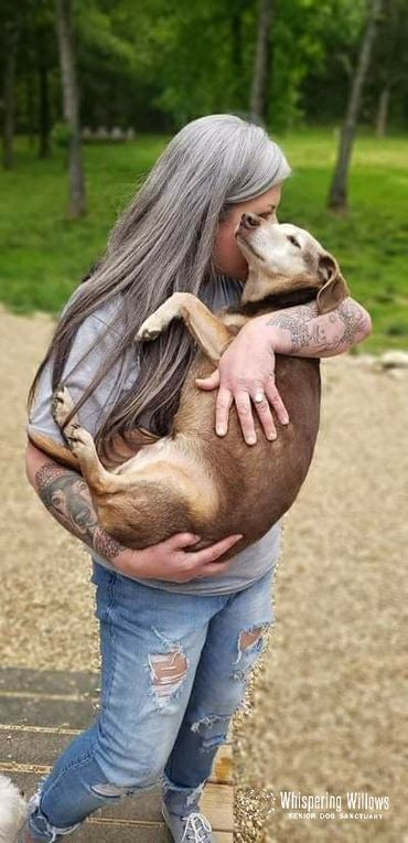 Woman turns her home into hospice for old shelter dogs so they don’t d.ie alone