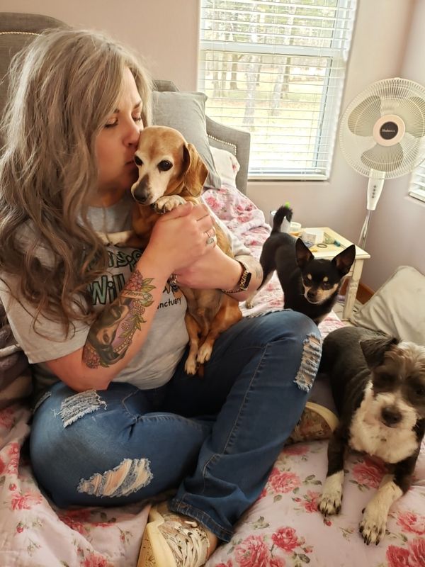 Woman turns her home into hospice for old shelter dogs so they don’t d.ie alone