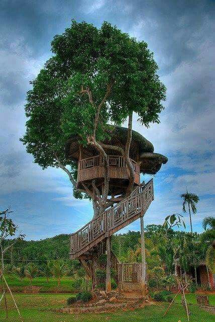 Embrace Serenity: Immerse Yourself in a Tree House Retreat - Amazing Nature