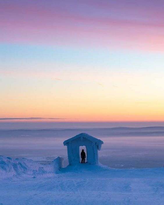 Solitude's Embrace: The Lonely House in a White Snowy Forest - Special 68