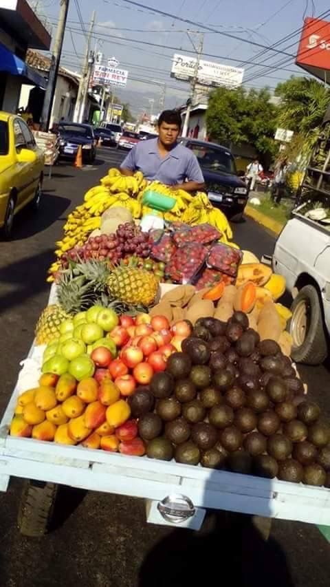 Embarking On A Journey Through The Enchanting World Of Handcrafted Fruit Trucks: Unveiling Nature's Abundance And Beauty - Nature and Life