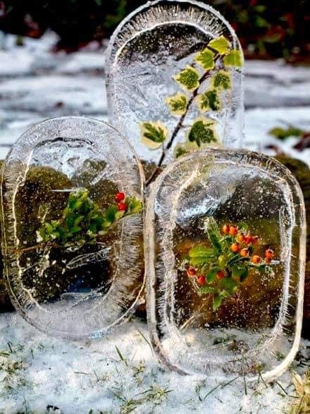 Elegance Carved In Ice: Discovering The Enchanting Beauty Of Winter's Frozen Flowers - Nature and Life