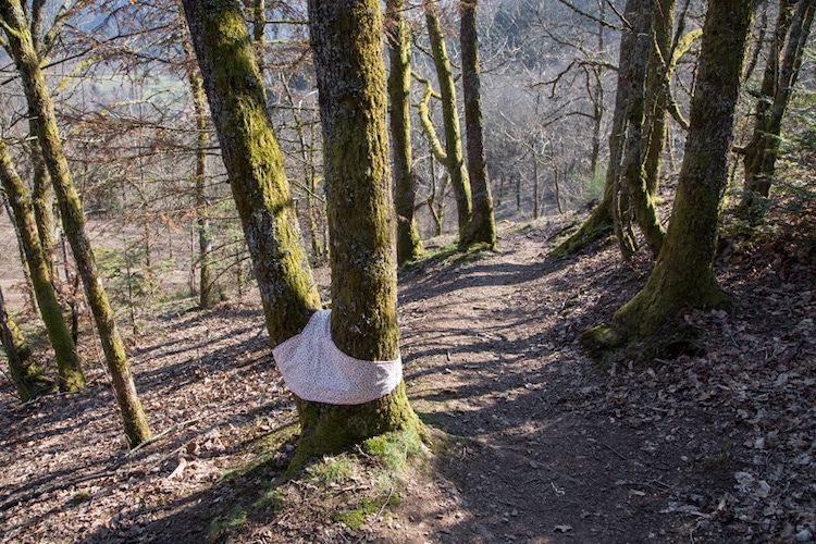 Nature's Clever Land Art Installations: A Well Of Larger-Than-Life Inspiration - Nature and Life