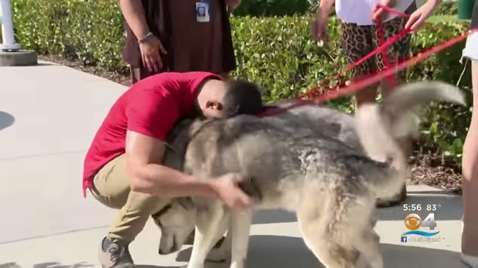 ‘That’s my dog!’ Man finds missing dogs at photoshoot for shelter pets