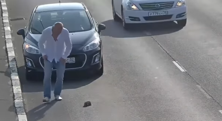 Brave Man Stopped His Car In Heavy Traffic To Help A Kitten!