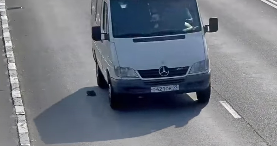 Brave Man Stopped His Car In Heavy Traffic To Help A Kitten!