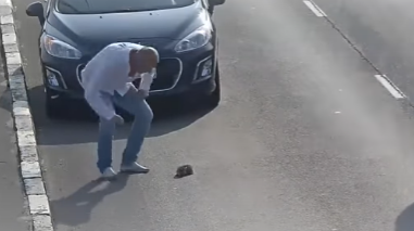 Brave Man Stopped His Car In Heavy Traffic To Help A Kitten!