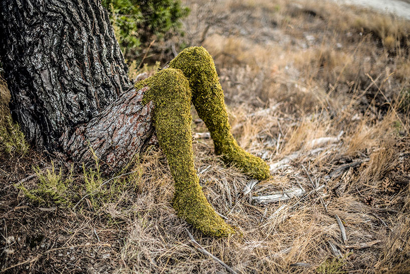 Absolutely Astonishing! Monsieur Plant's Surreal Metamorphosis Turns A Human Into A Tree, Spotlighting The Incredible Power Of Human Creativity - Nature and Life