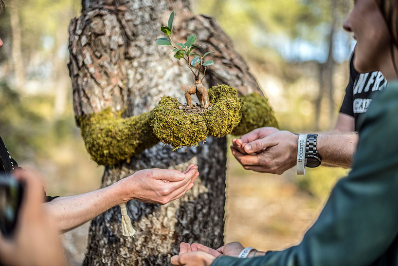 Absolutely Astonishing! Monsieur Plant's Surreal Metamorphosis Turns A Human Into A Tree, Spotlighting The Incredible Power Of Human Creativity - Nature and Life