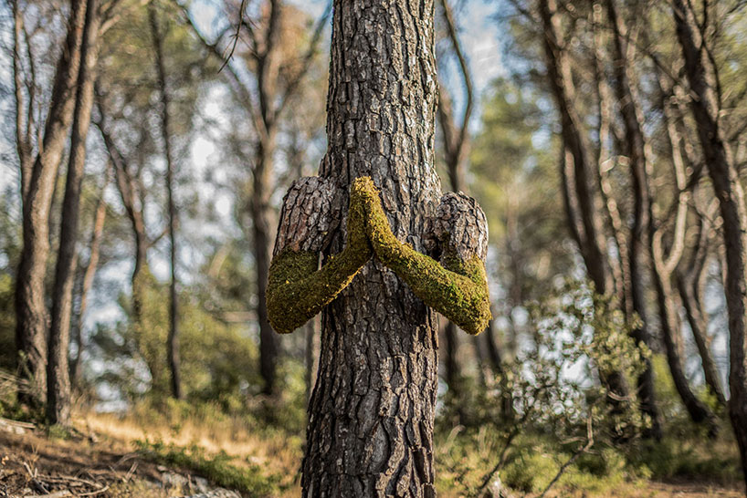 Absolutely Astonishing! Monsieur Plant's Surreal Metamorphosis Turns A Human Into A Tree, Spotlighting The Incredible Power Of Human Creativity - Nature and Life