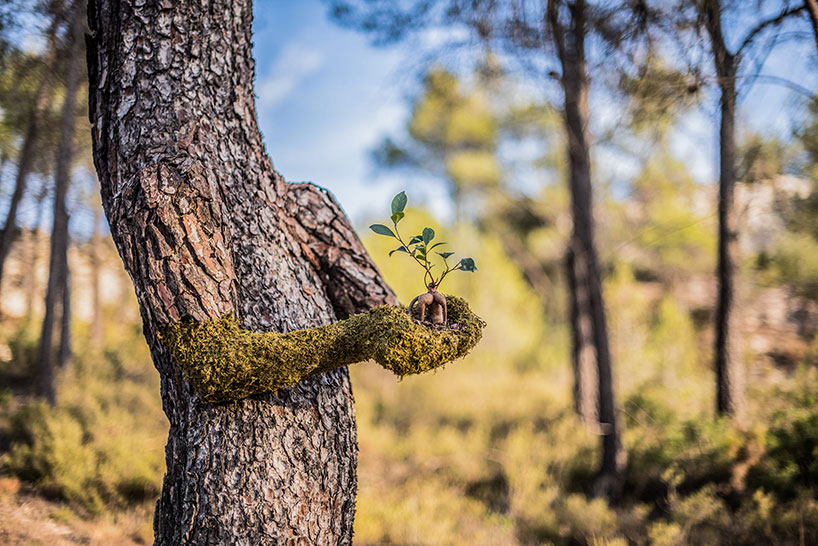 Absolutely Astonishing! Monsieur Plant's Surreal Metamorphosis Turns A Human Into A Tree, Spotlighting The Incredible Power Of Human Creativity - Nature and Life