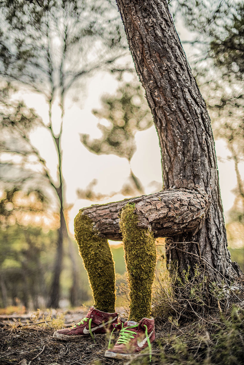 Absolutely Astonishing! Monsieur Plant's Surreal Metamorphosis Turns A Human Into A Tree, Spotlighting The Incredible Power Of Human Creativity - Nature and Life