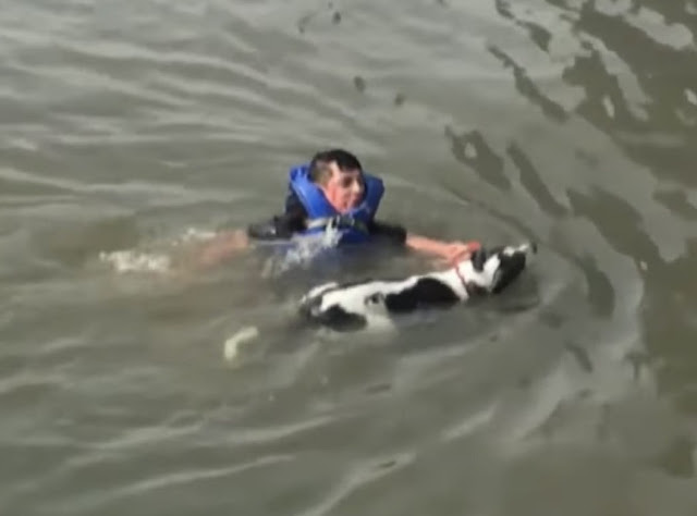 Man Leaves His Own Birthday Party To Rescue Dog From Dro.wn.ing In River