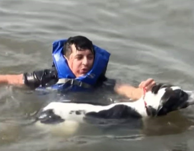 Man Leaves His Own Birthday Party To Rescue Dog From Dro.wn.ing In River