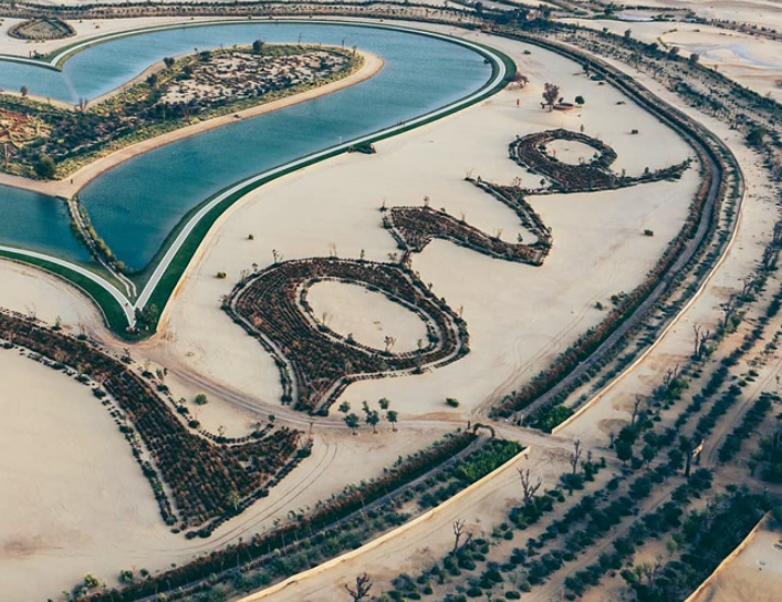 Love Oasis in the Desert: Dubai's Serene Lake Retreat.