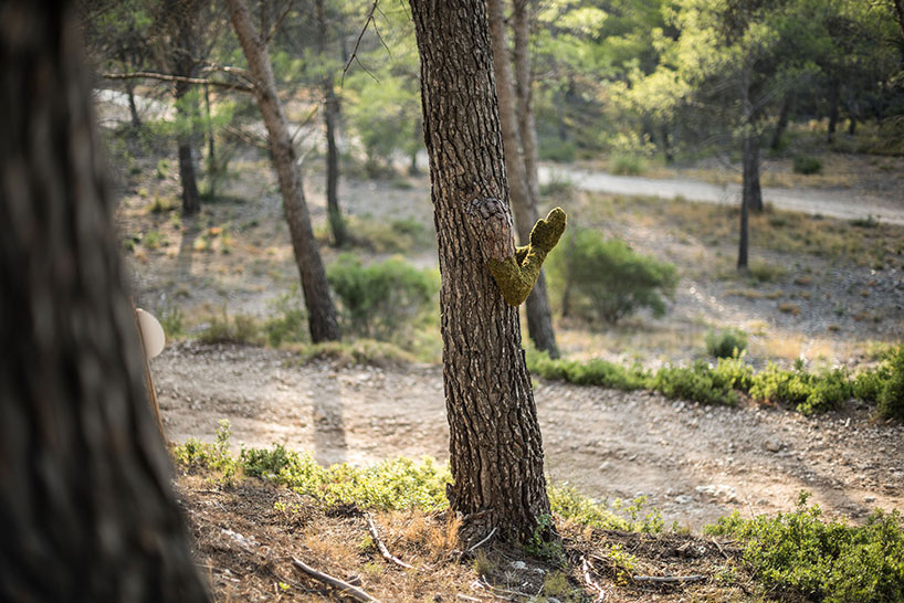 Absolutely Astonishing! Monsieur Plant's Surreal Metamorphosis Turns A Human Into A Tree, Spotlighting The Incredible Power Of Human Creativity - Nature and Life