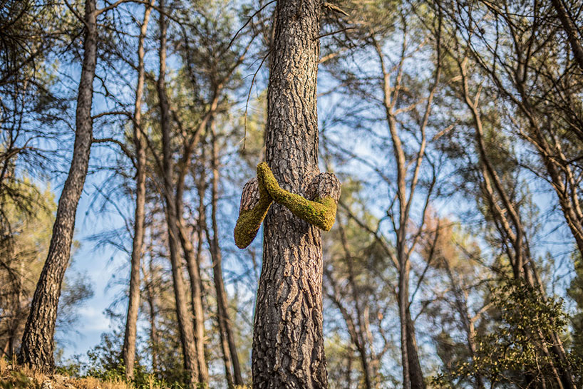 Absolutely Astonishing! Monsieur Plant's Surreal Metamorphosis Turns A Human Into A Tree, Spotlighting The Incredible Power Of Human Creativity - Nature and Life