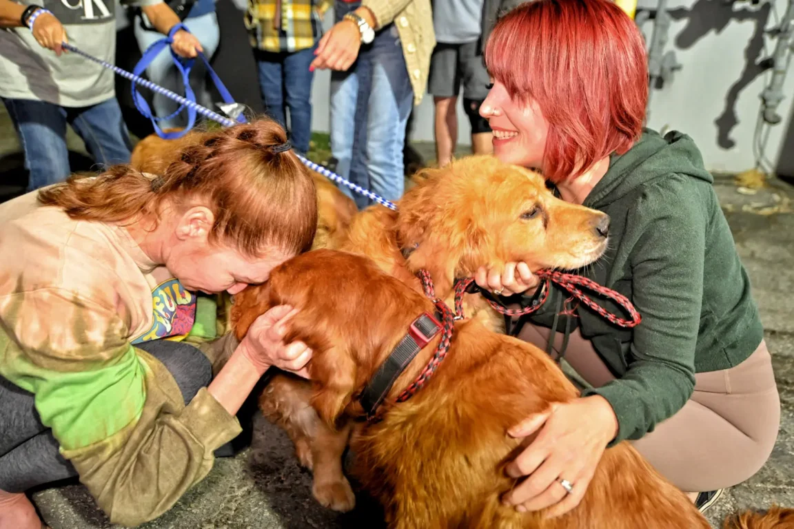 31 Dogs Rescued From China’s Dog Meat Trade Are Finally Safe In The USA