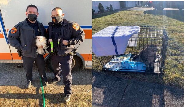 Police officers risk their lives to save dog and cat from fire