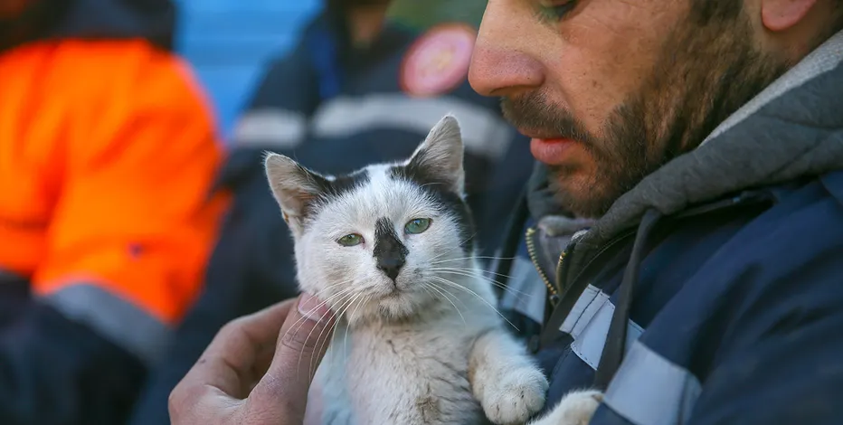 Cat Refuses To Leave Rescuers Who Saved Her From Earthquake In Turkey