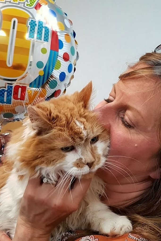 Woman Got A Cat In 1988 But Had No Idea That 30 Years Later, He’d Become The Oldest Cat In The World!