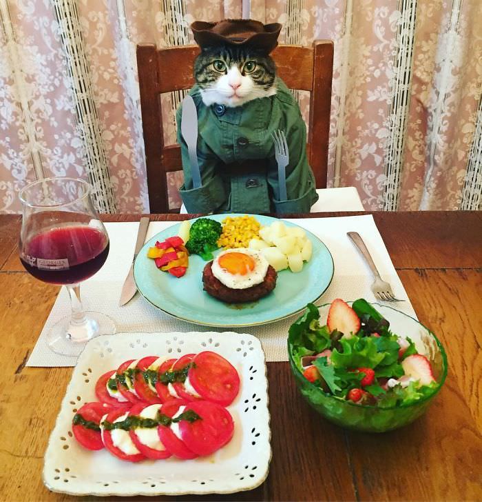 Cosplaying Cat Chef Dines With His Mom Every Night In Different Outfit