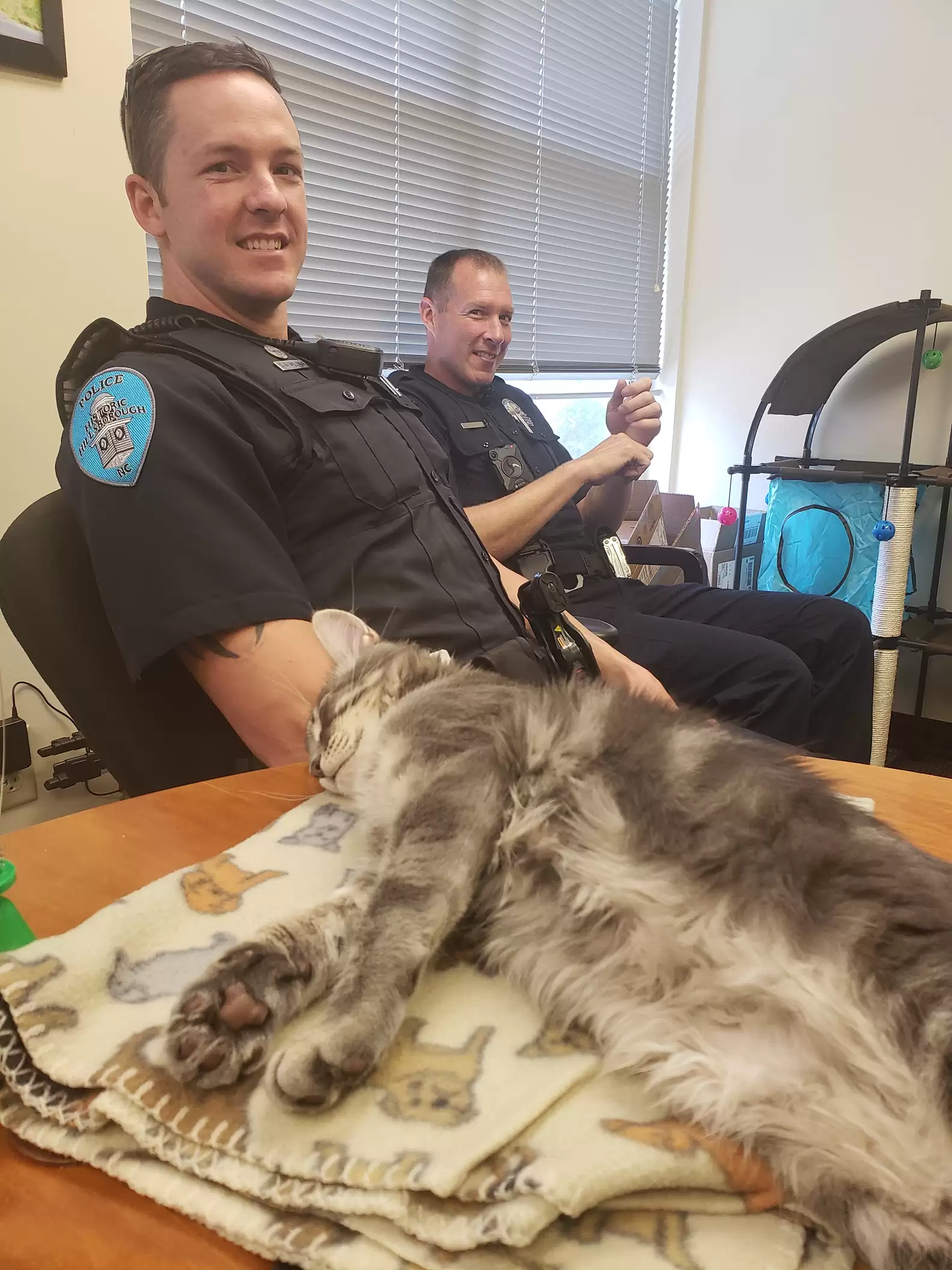 Cop Saves Kitten From Being 'Bait' — And Makes Her His Partner