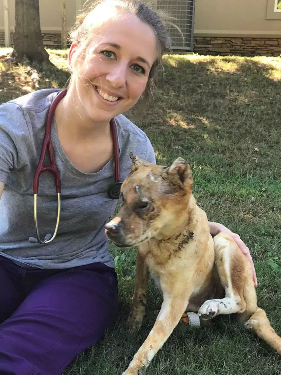 Kind Vet Crawls Into Kennel To Sleep With Dog Burned In Fire Until He Feels Safe