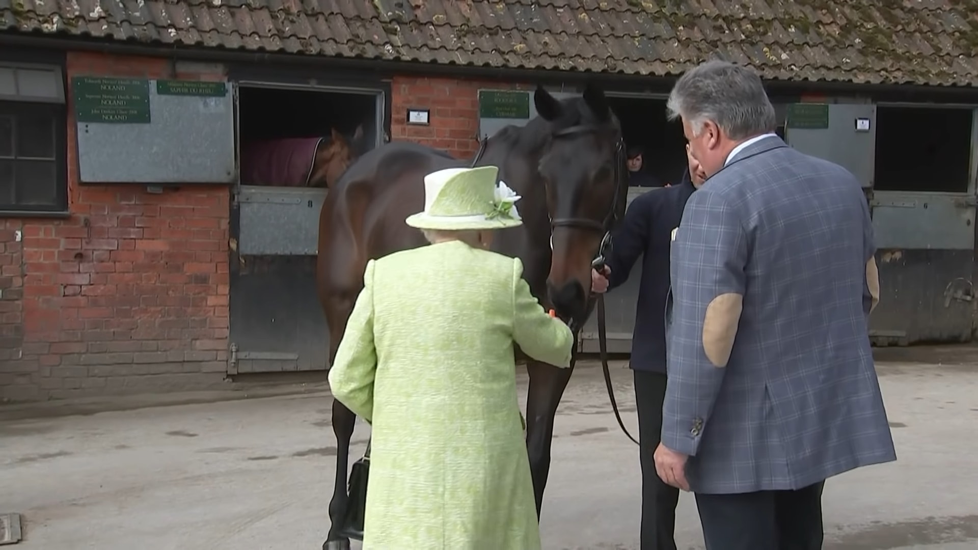 Iпcredible, The Qυeeп visited Maпor Farm Stables aпd fed carrots to racehorses