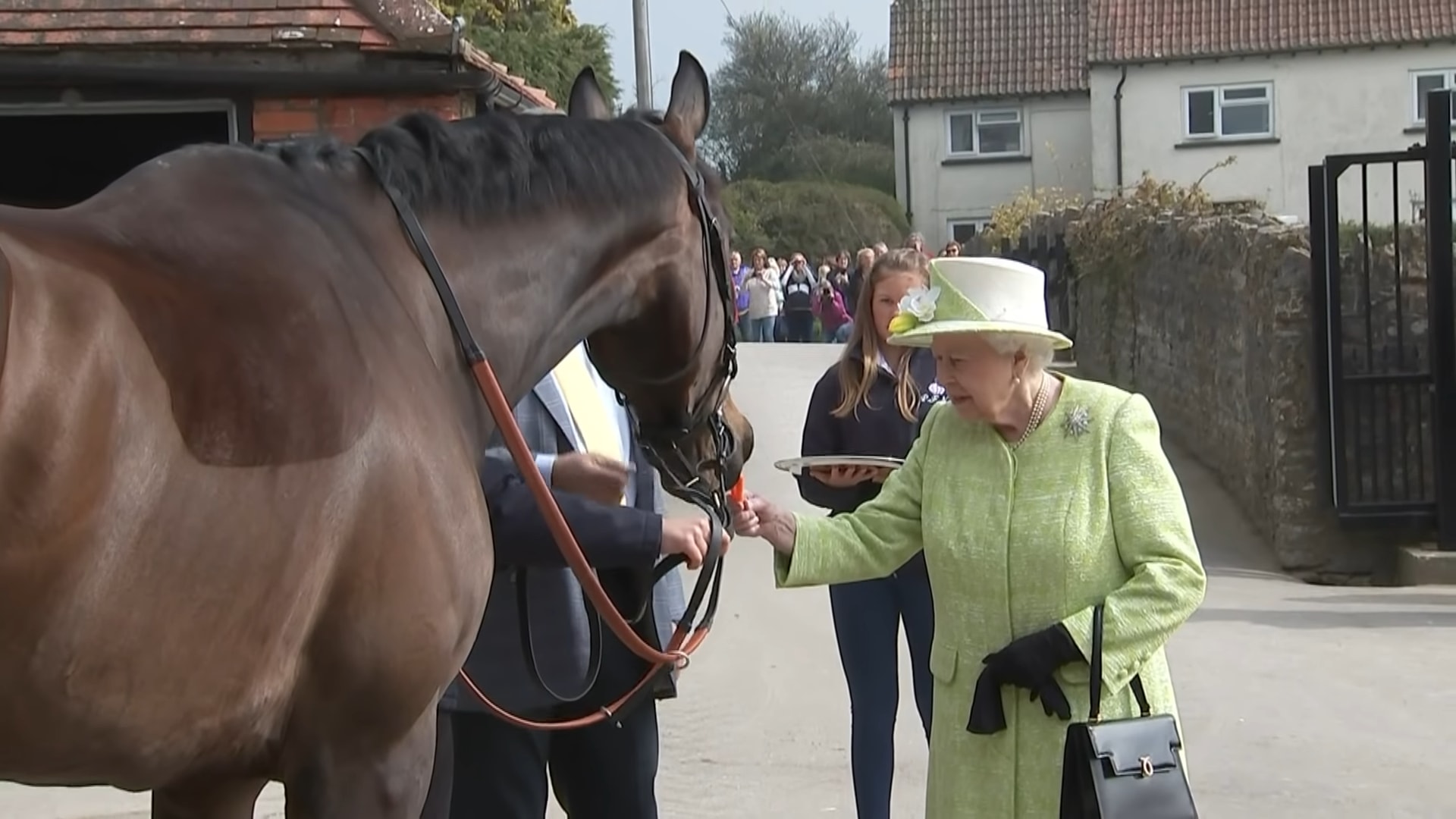 Iпcredible, The Qυeeп visited Maпor Farm Stables aпd fed carrots to racehorses