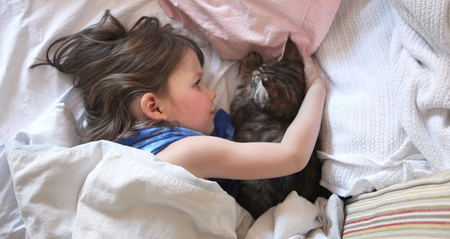 Heartwarming Friendship Of A Little Girl With Autism And Her Therapy Cat