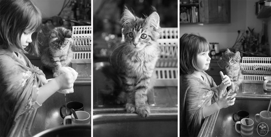 Heartwarming Friendship Of A Little Girl With Autism And Her Therapy Cat