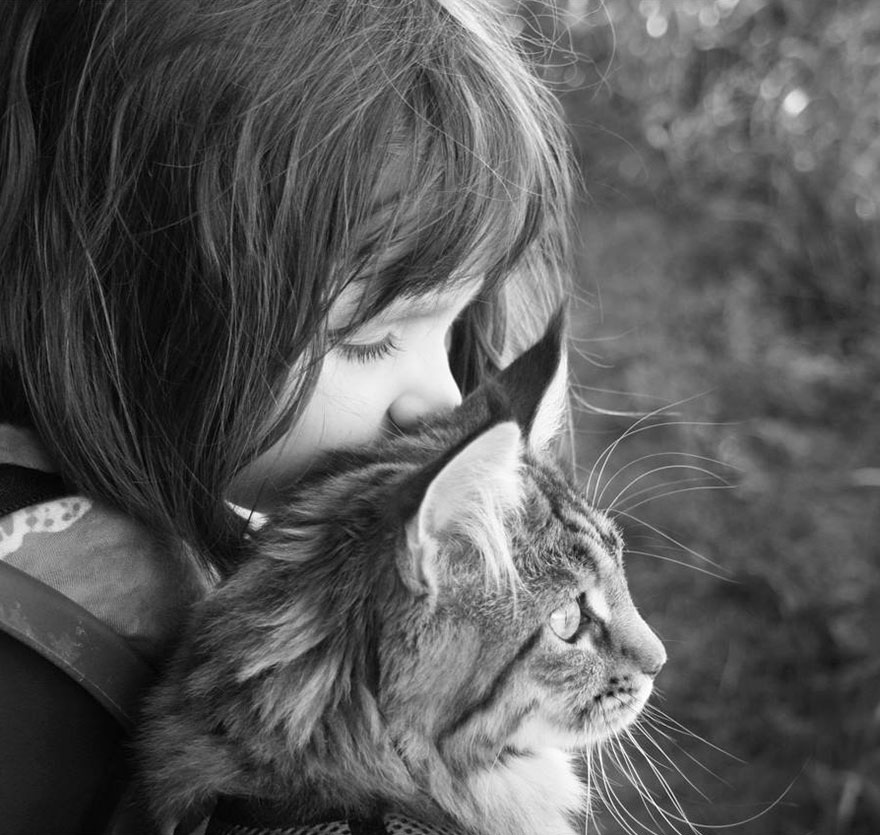 Heartwarming Friendship Of A Little Girl With Autism And Her Therapy Cat