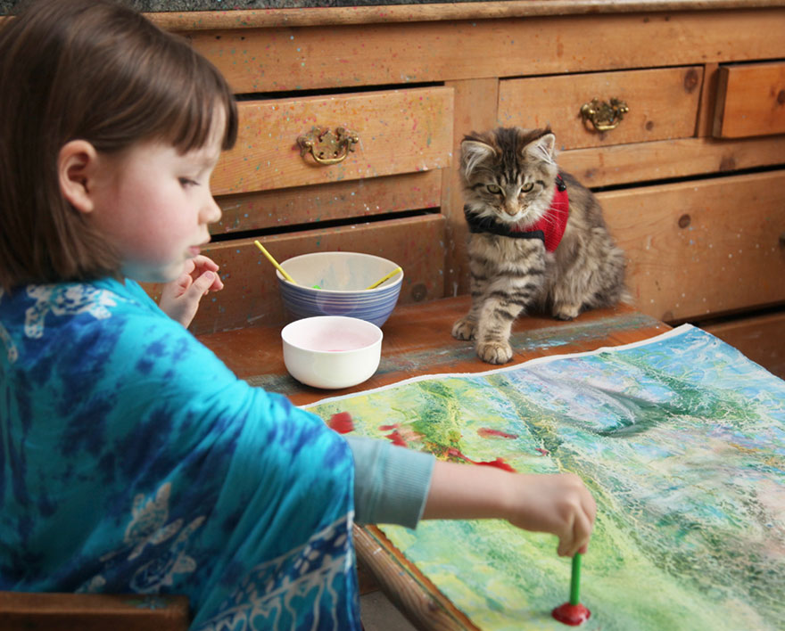 Heartwarming Friendship Of A Little Girl With Autism And Her Therapy Cat