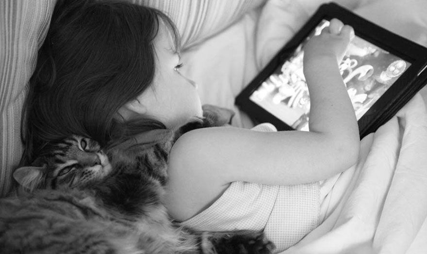 Heartwarming Friendship Of A Little Girl With Autism And Her Therapy Cat