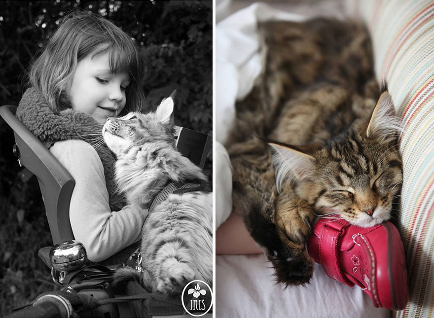 Heartwarming Friendship Of A Little Girl With Autism And Her Therapy Cat