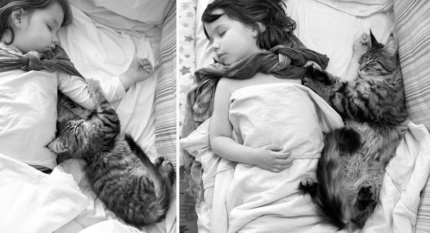 Heartwarming Friendship Of A Little Girl With Autism And Her Therapy Cat