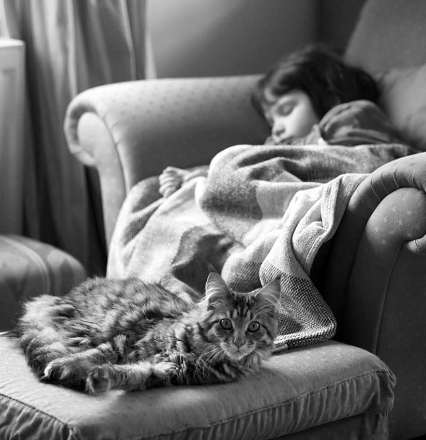 Heartwarming Friendship Of A Little Girl With Autism And Her Therapy Cat