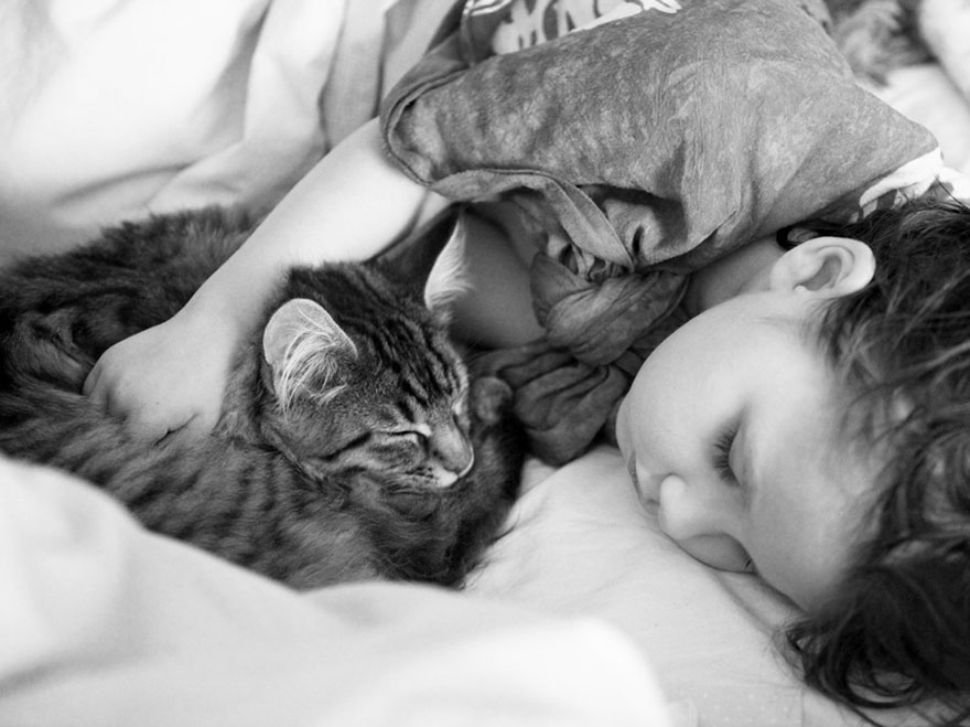 Heartwarming Friendship Of A Little Girl With Autism And Her Therapy Cat