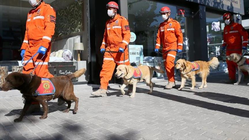 “Heroic Sniffer Dog Alerts Rescue Team, Leading to Woman’s Life-Saving Rescue After Devastating Earthquake in Turkey.”