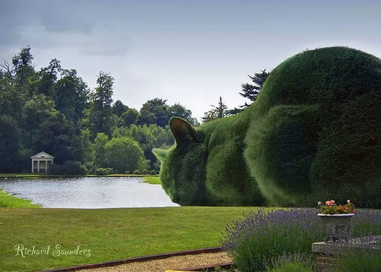 The Surrealist Artist's Extraordinary Skill: Bringing A Topiary Cat To Vivid Life - Nature and Life