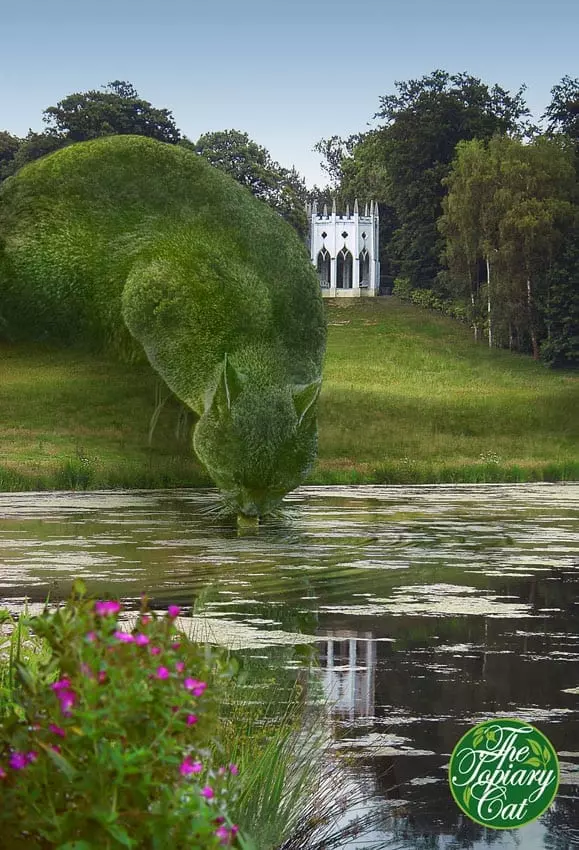 The Surrealist Artist's Extraordinary Skill: Bringing A Topiary Cat To Vivid Life - Nature and Life